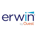 ERwin Data Modeler Logo